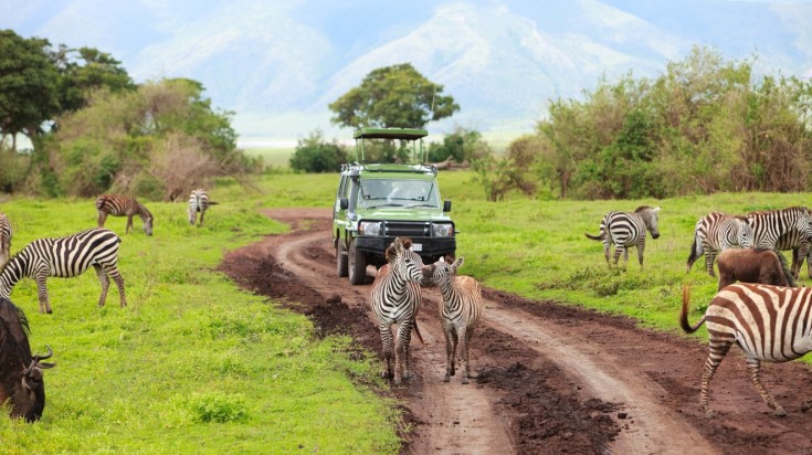 Safari with Leon Adventure