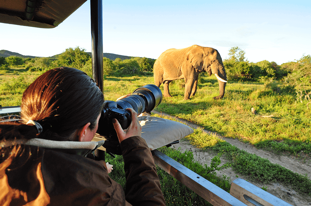 Tanzania Photographic safari