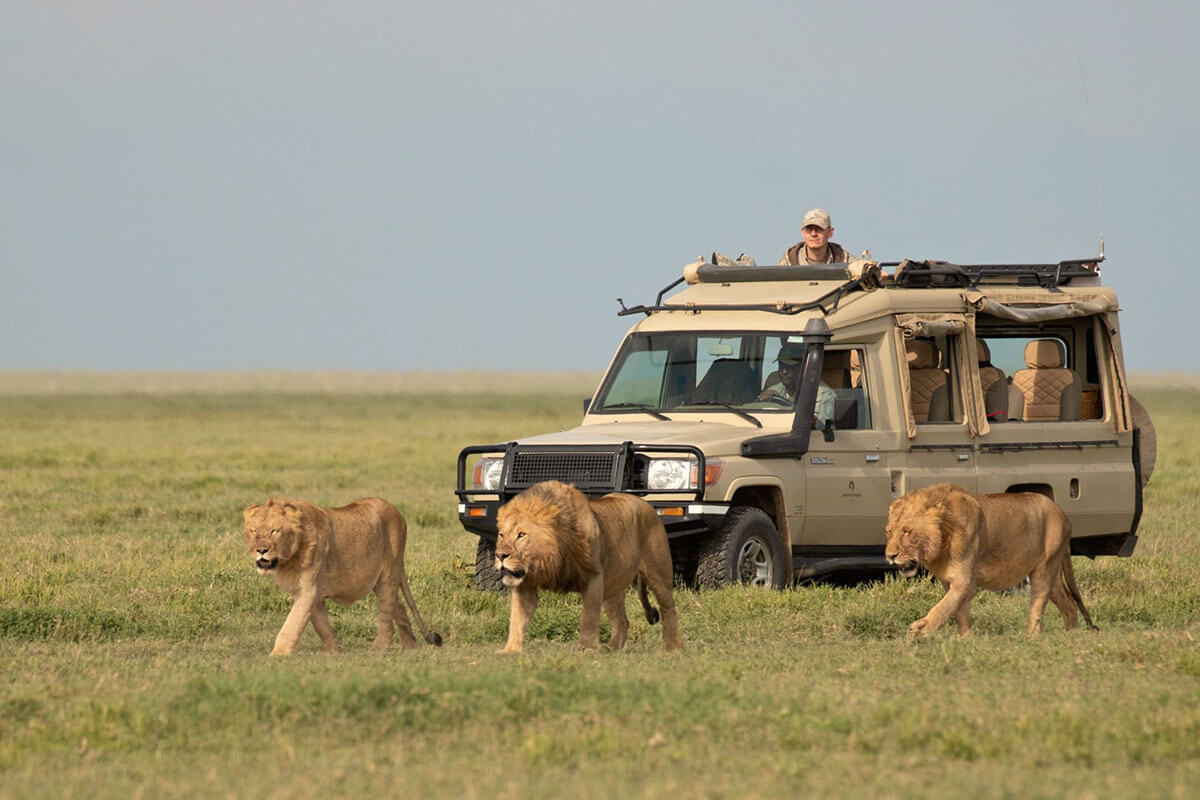 5 Day Tanzania Safari