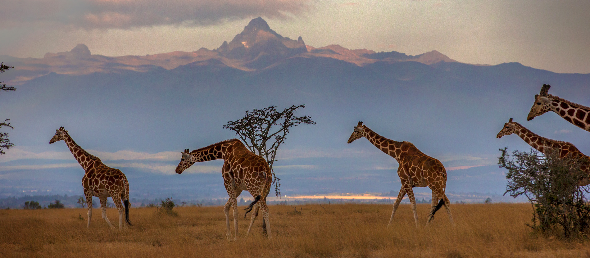 5 Day Tanzania Under the Skies Safari