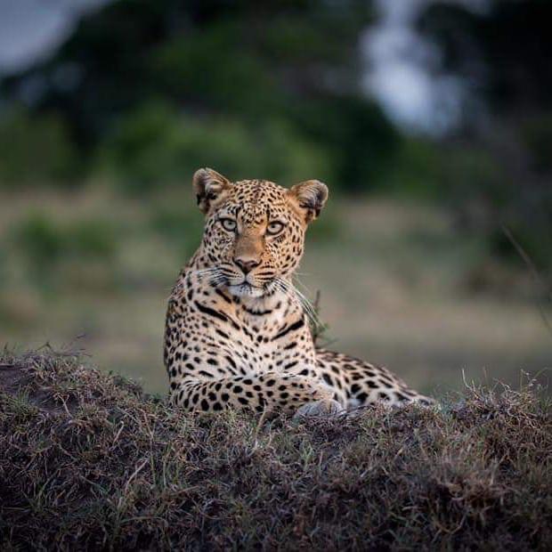 5 Day Tanzania Safari