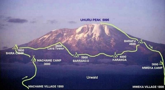 7 Days Mount Kilimanjaro Machame Route Highlights